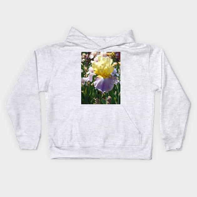 Purple and Yellow Bearded Iris Flower Kids Hoodie by SarahRajkotwala